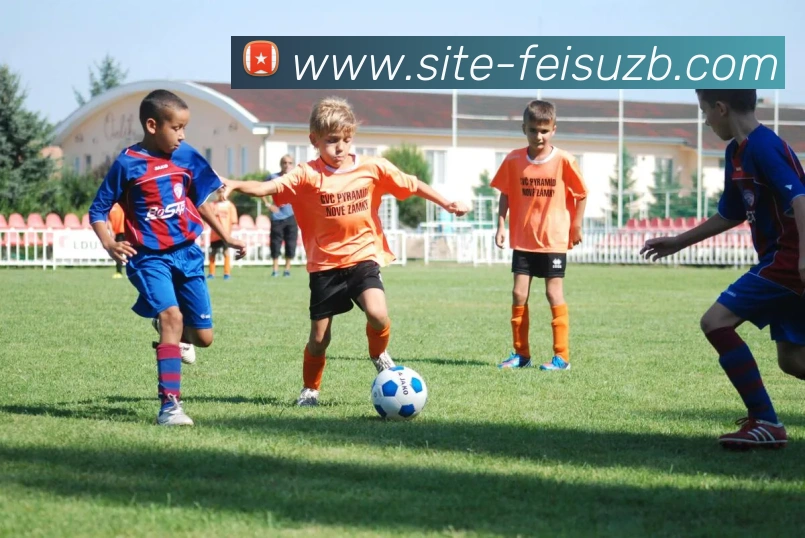 飞速直播品牌故事